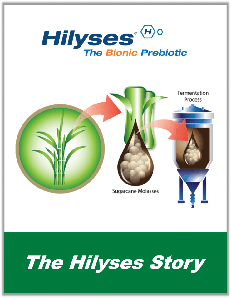 The Hilyses Story